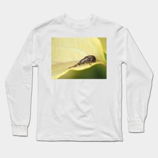 Tiny weevil beetle identified as Sciopithes obscurus - Obscure Root Weevil Long Sleeve T-Shirt